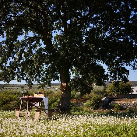 Tenuta Giotta Villa