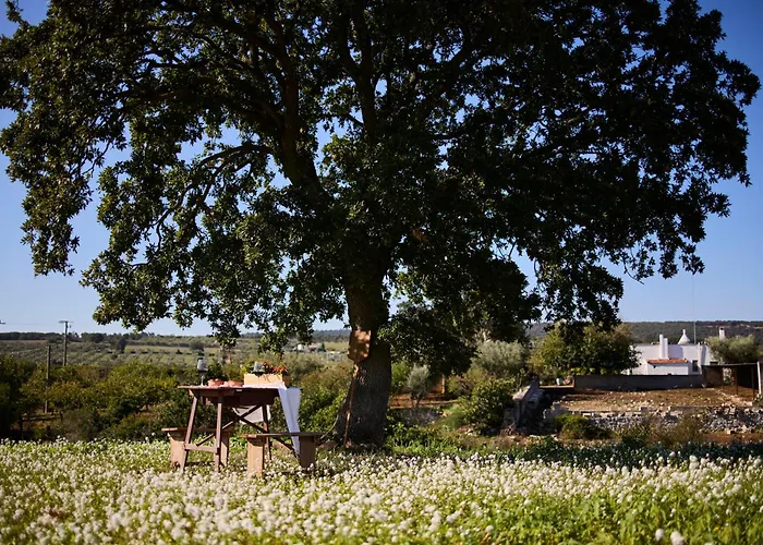 Tenuta Giotta Вилла